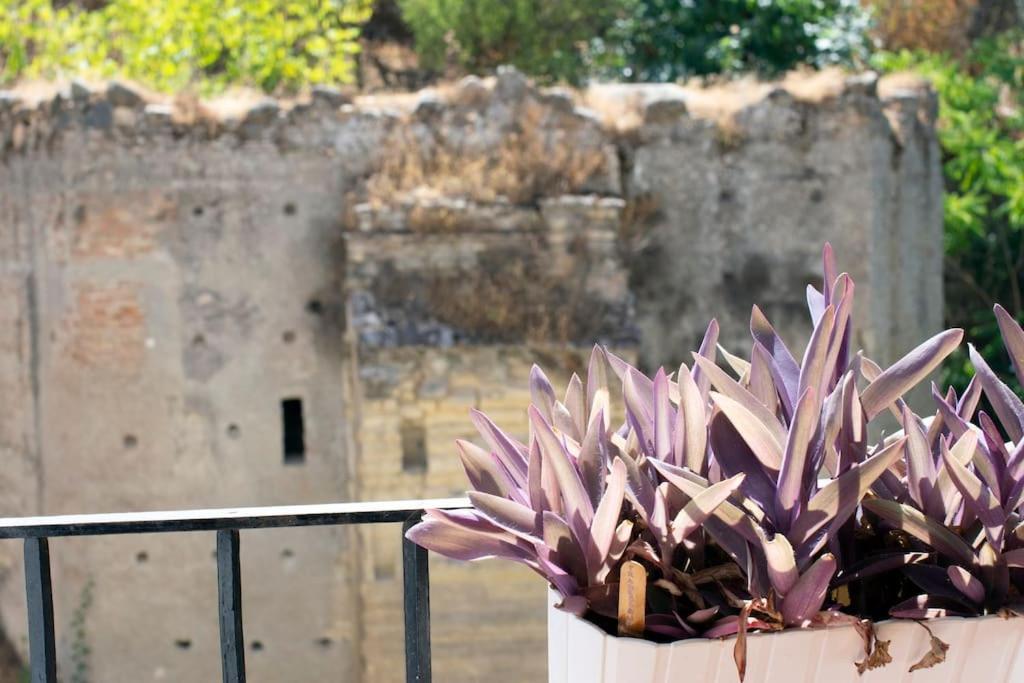 Alhambra Enamora 1 -Paseo De Los Tristes View 1 -C Granada Ngoại thất bức ảnh